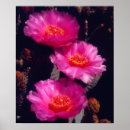 Suche nach franken poster America