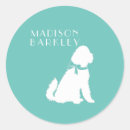Recherche de labradoodle Canicule