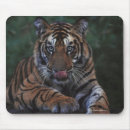 Suche nach felsen mousepads Farbbild