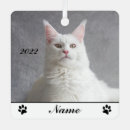 Suche nach flusspferd ornamente Tier