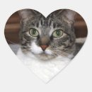 Suche nach herz bastel zubehör Katze