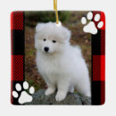 Suche nach pet memorial ornamente Cat