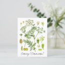 Recherche de herbs cartes postales Pour elle
