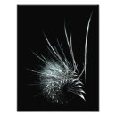 Suche nach verwirrt poster Liebe