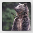 Suche nach tierthemen wanduhren Farbbild