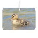 Suche nach ente autozubehör Mallard