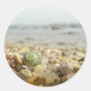 Recherche de galet autocollants Plage