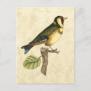 Suche nach zweig postkarten Ast