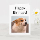 Suche nach lustige corgi karten Für ihn