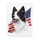 Recherche de chien de border collie magnets Rassemblement