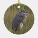 Suche nach blauer vogel ornamente Vögel