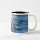 Recherche de mustelid tasses Animal