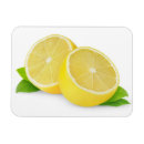 Recherche de citron magnets Fruits