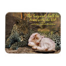 Suche nach 11 magnete Bibel