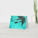 Suche nach schwimmen kleine grußkarten Wasser