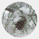 Recherche de pinecone autocollants Neige