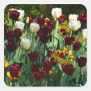 Recherche de tulipe rouge autocollants Jardin