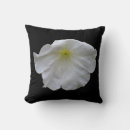 Suche nach petunia kissen Natur