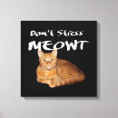 Suche nach geschenkidee leinwandbilder Katzen