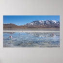 Recherche de bolivie posters Flamants