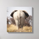 Recherche de vue arrière Éléphant