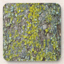 Suche nach moos untersetzer Grau