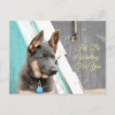 Suche nach schäferhunde postkarten Liebe