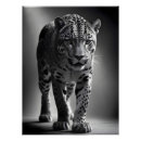 Recherche de écran posters Animal