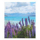 Suche nach lavendel foto poster Natur