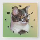 Recherche de chat blanc noir horloges Animaux