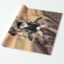 Recherche de chèvres papier cadeau Animal de ferme