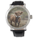 Recherche de agricole montres Vache