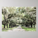 Suche nach spanisches moos poster Charleston
