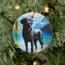 Suche nach labrador ornamente Spaß