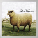 Recherche de sheep posters Pour tous