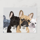 Suche nach französisch postkarten französischer bulldog