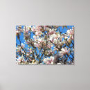 Suche nach magnolien leinwandbilder Foto