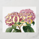 Recherche de hortensias cartes postales Rose