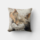 Recherche de chat de sommeil coussins Minou