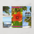 Suche nach südsee postkarten Samoa