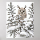 Suche nach schnee eulen poster Vogelvogel