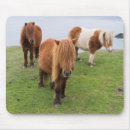 Suche nach klippen mousepads Tier
