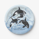 Recherche de orque Aquarelle