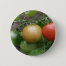 Suche nach gesunde nahrung buttons Tomaten