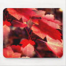 Recherche de automne feuille tapis souris Photographie