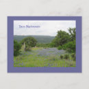 Suche nach texas bluebonnet postkarten Pflanze