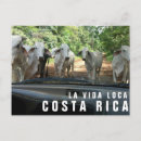 Recherche de p cartes postales Vacances