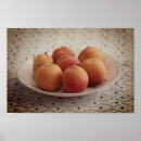 Suche nach aprikosen poster Obst