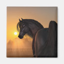 Suche nach horse magnete Schwarz