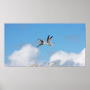 Suche nach seemöwen alle poster Strand